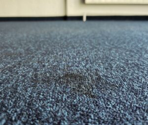 MA Teppichreinigung | Teppichboden